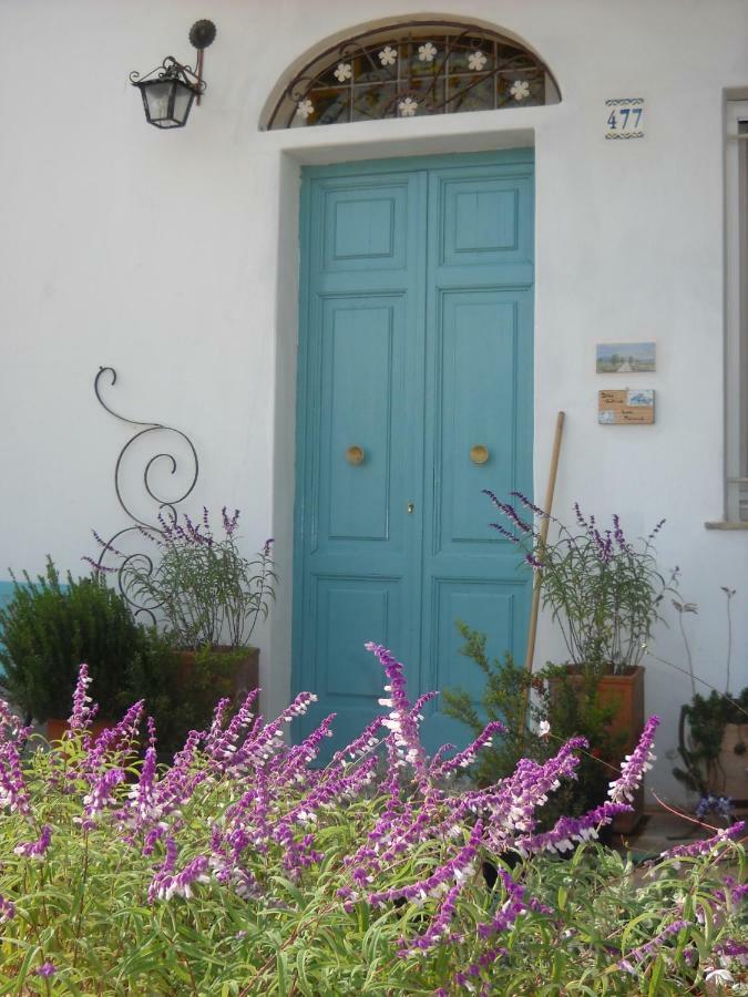 Giardino Della Moscatella Bed & Breakfast Altamura Luaran gambar