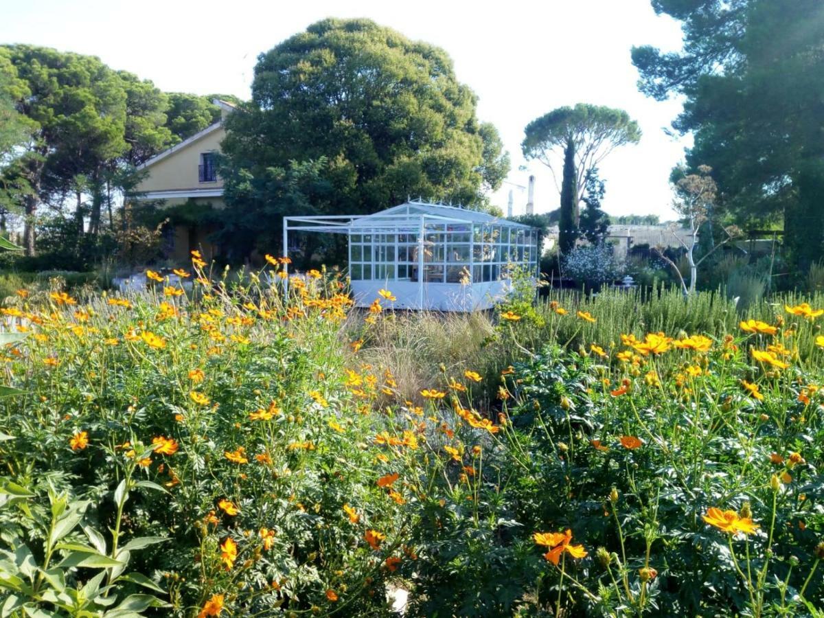 Giardino Della Moscatella Bed & Breakfast Altamura Luaran gambar